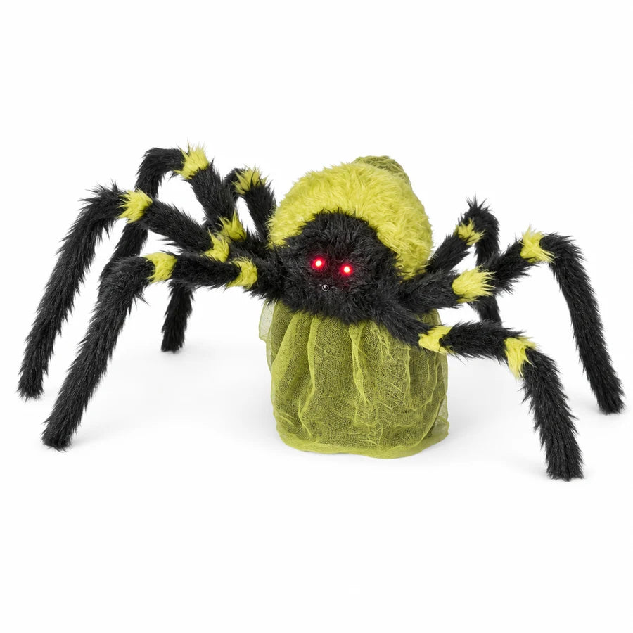 Cindervale Spider, studio packshot on white