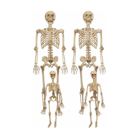 Cindervale Skeleton, studio packshot on white