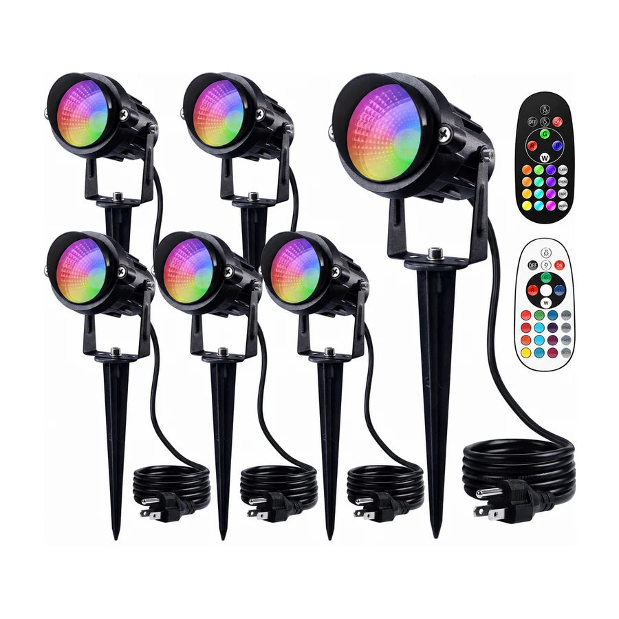 Lit Right: Palefire Spotlight, 6 pack