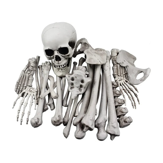 Coffinwood Skeleton, studio packshot on white