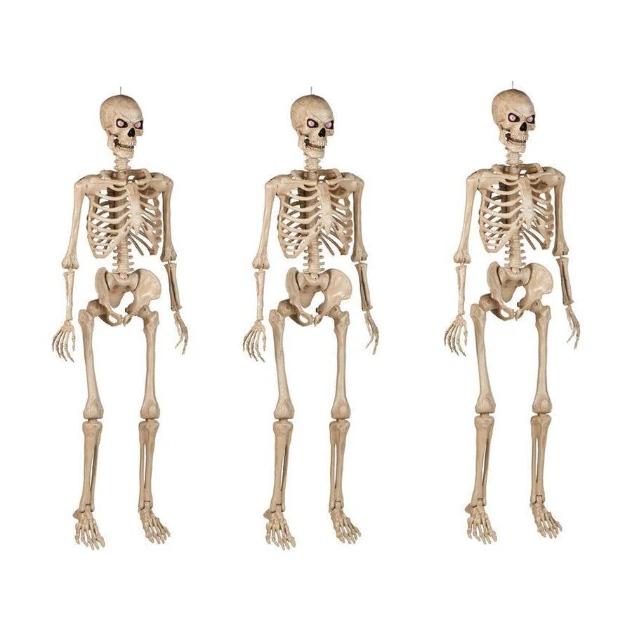 Three five foot poseable skeletons arranged on a lawn
