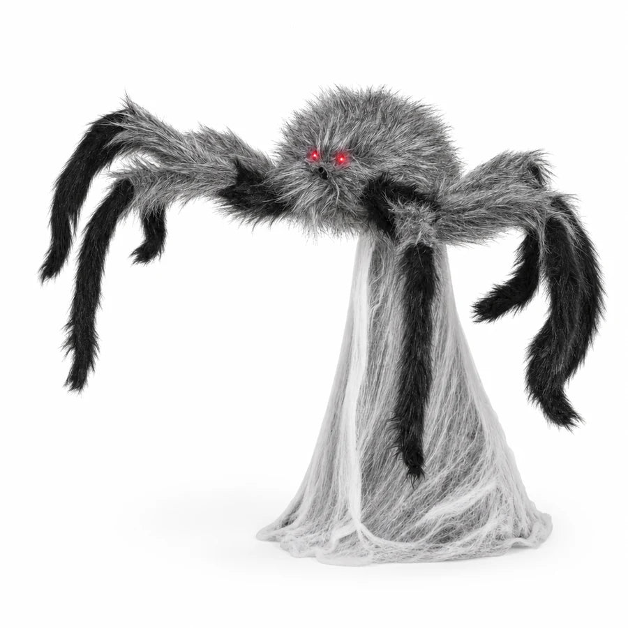 Nethermoor Spider, studio packshot on white