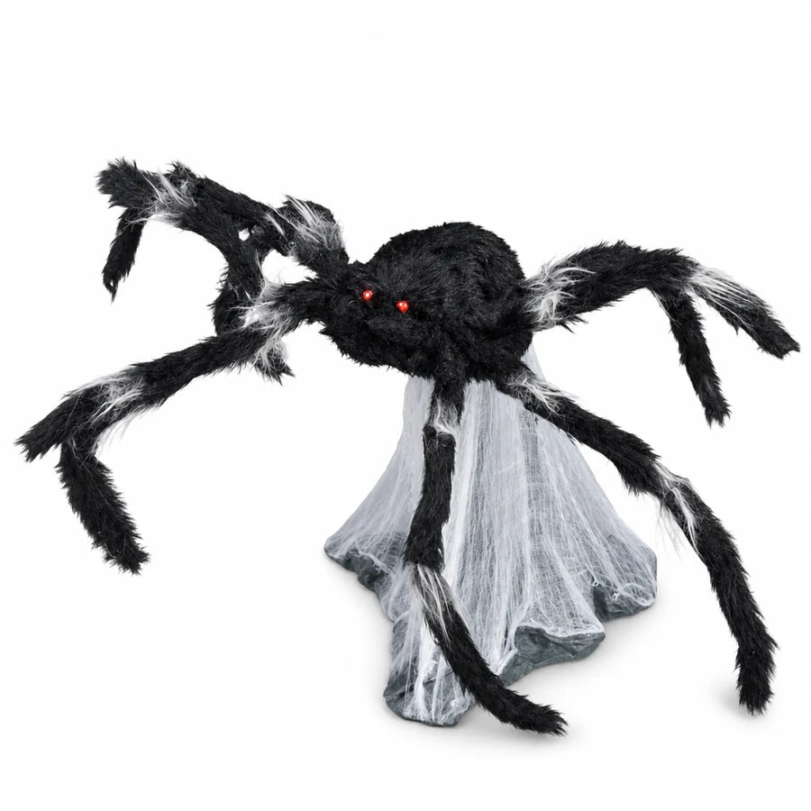 Lanternlee Spider, studio packshot on white