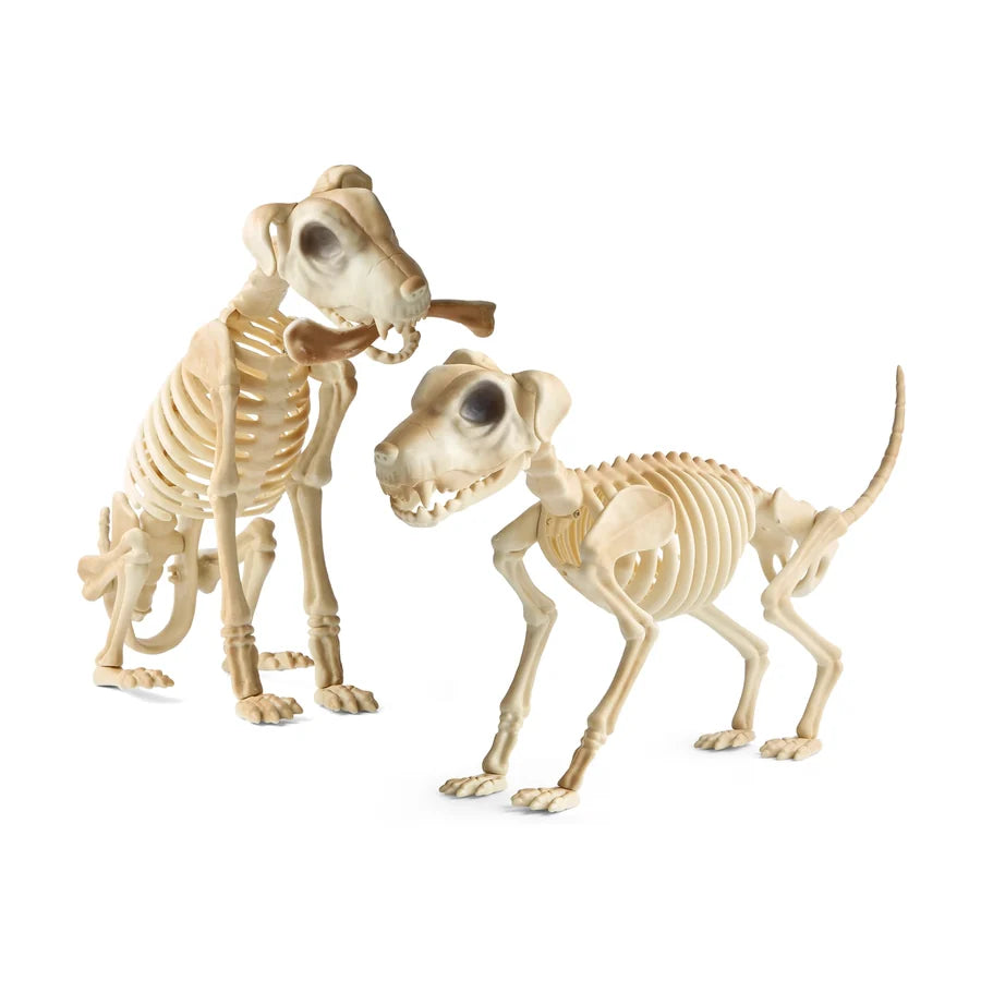 Two bone-white skeleton dogs on a lawn with a bone between them