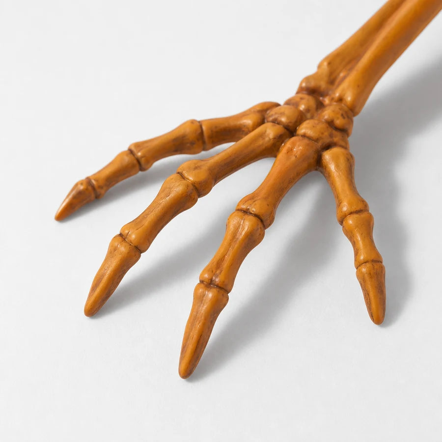 Close crop of one clawed hand, fingers spread wide against the grass